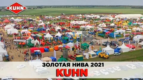 Золотая нива песня