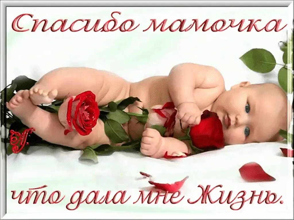 Мамочку милую жизнь подарившую