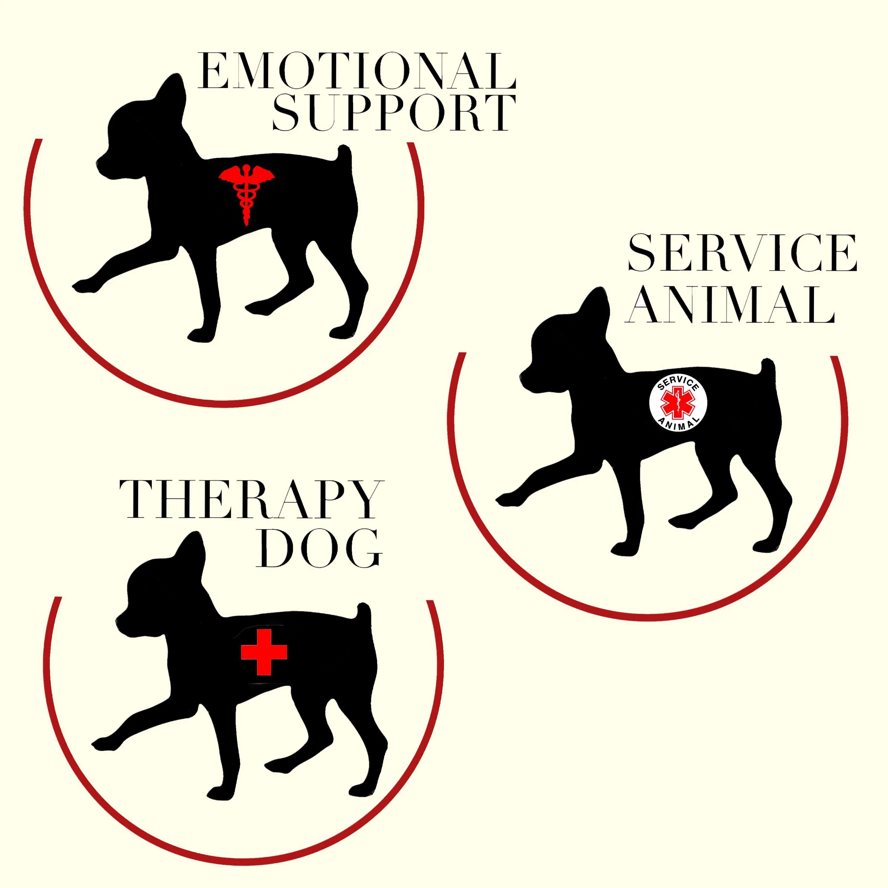 Support animals. Emotional support animal. emotion support dog. support animal.