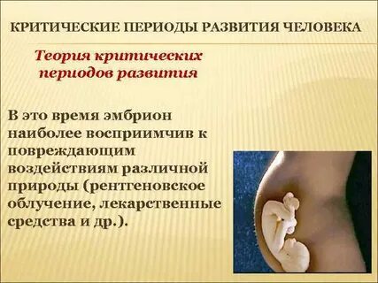 Критические периоды зародыша