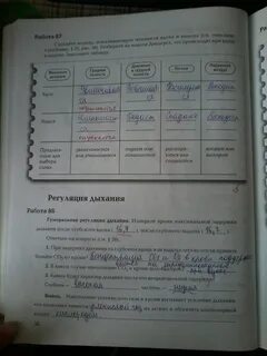 Биология 8 класс драгомилов маш практическая работа