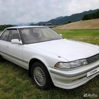 81 кузов
