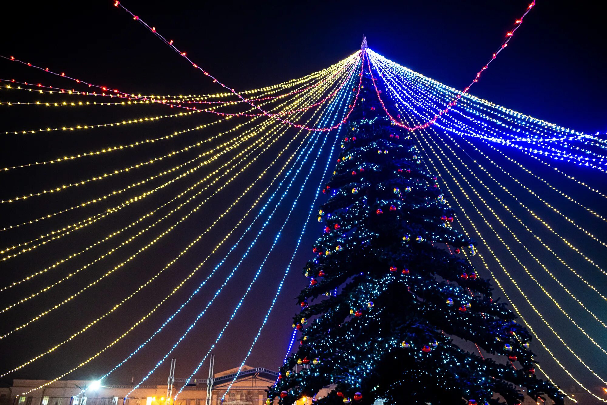 новогодняя чита. чита новый год 2022. елка на площади ленина чита. площадь ленина чита. новогодние фото 2023.