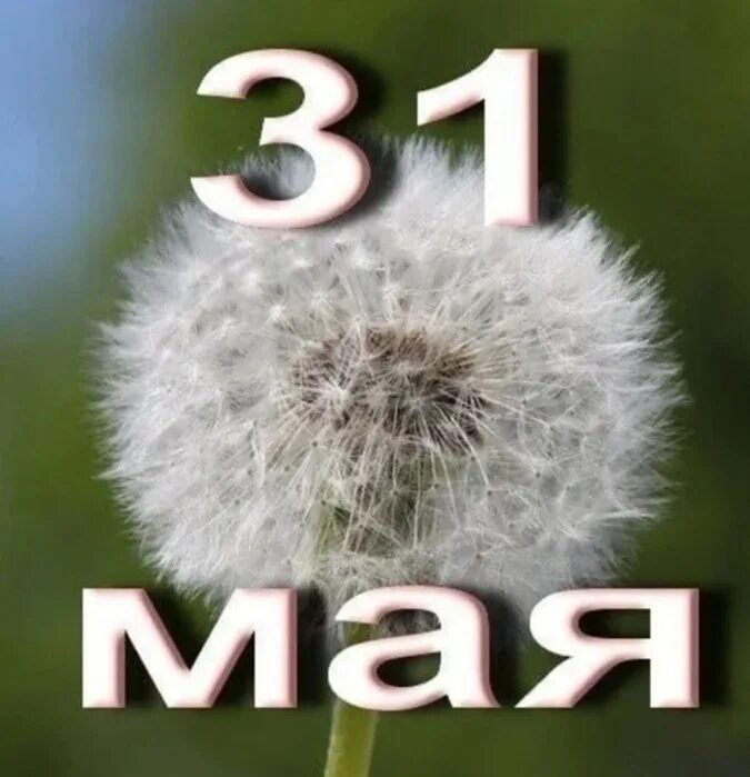 May 30 day. С последним днем весны. С последним днем мая. Открытки 31 мая. С последним леем весны.