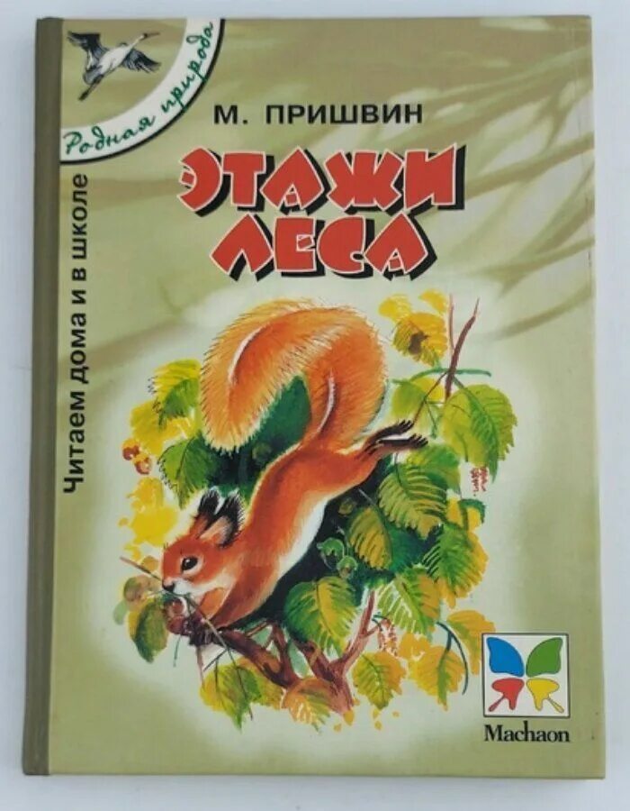 Лесные этажи пришвин. Рассказ пришвина этажи леса. Книги пришвина этажи леса. Рассказ м пришвина этажи леса. Рассказ м пришвина этажи леса.