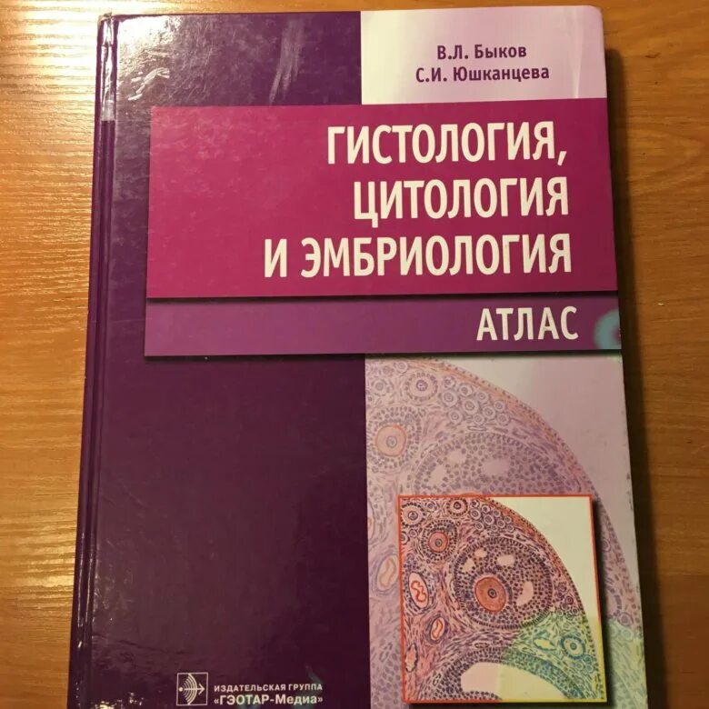 Книги по гистологии. Быков юшканцева гистология атлас. атлас по гистологии быков юшканцева. быков гистология эмбриология. атлас_юшканцева, быков - гистология, цитология и эмбриология.