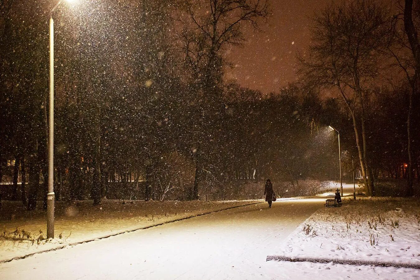 Первый снег ночь фонарь