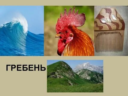 Что такое гребень шумного прибоя