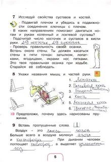 Решебник по человека и мир 3 тетрадь