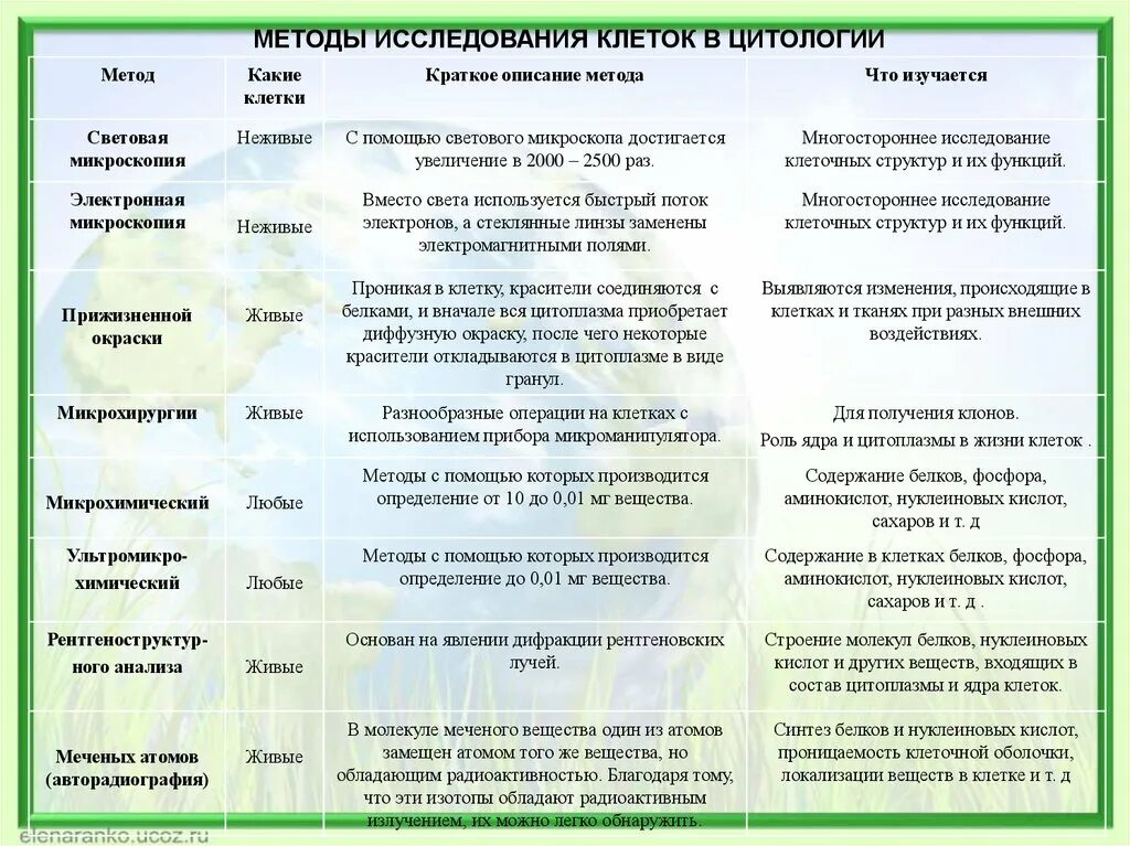 Какие методы используются для исследования клетки. Методы изучения клетки таблица биология. Методы изучения клетки таблица биология 10 класс. Методы изучения клеток биология 10 класс. Методы изучения клетки таблица 10 класс.