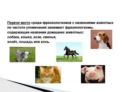 Переносное наименование животных и растений