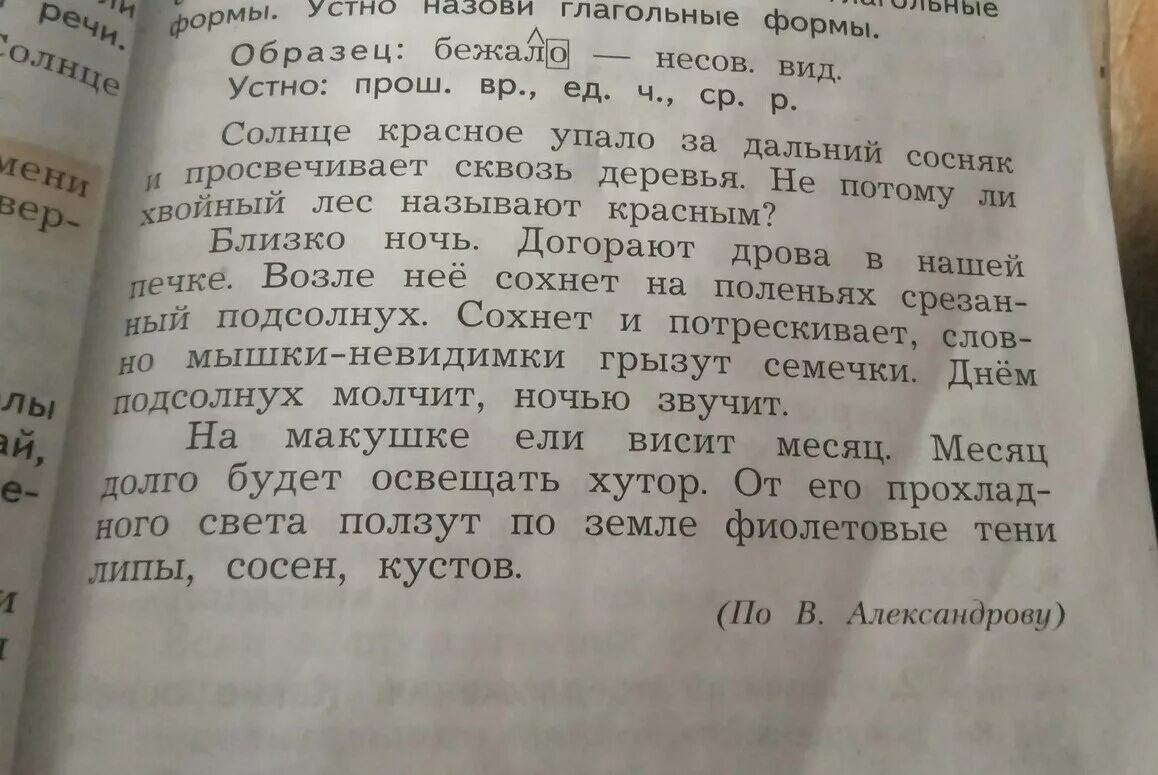 Прочитай текст выпиши синонимы устно попробуй. Спиши подчеркни орфограммы. Солнце красное упало за Дальний сосняк. Списать подчеркнуть орфограмму шиповник. Спиши подчеркни орфограммы шиповник.