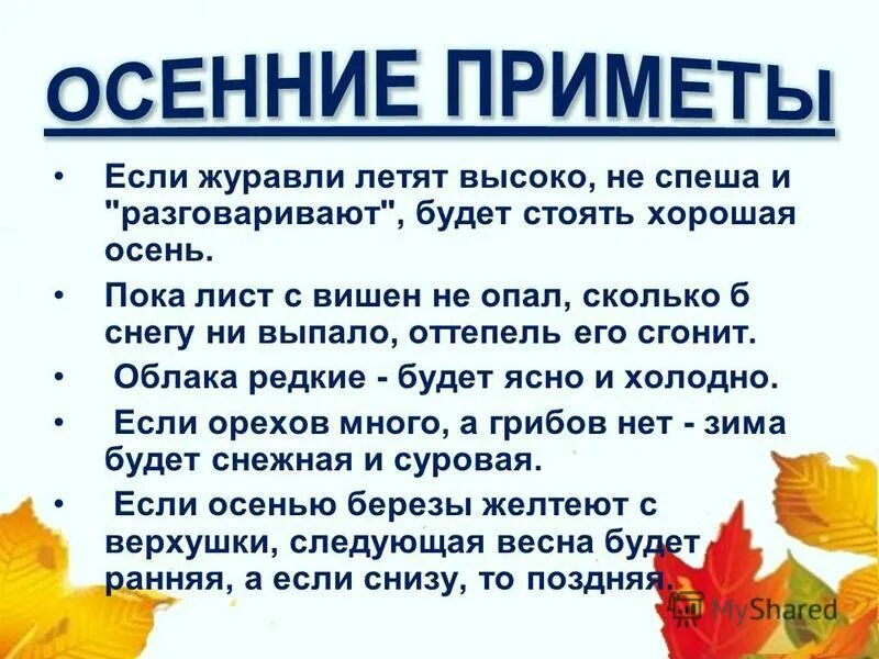 Какие бывают осенние дни