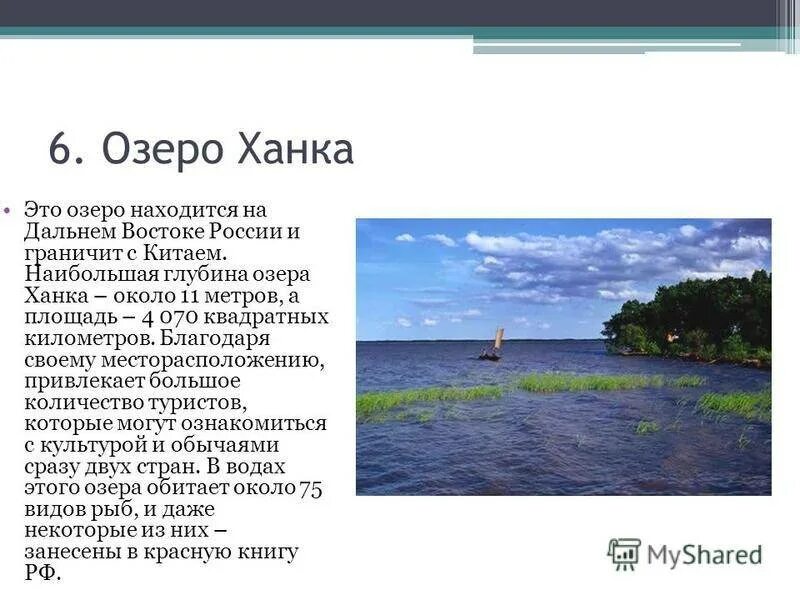 7 крупных озер россии. Озеро ханка описание. Озеро ханка Дальний Восток. Озеро ханка сообщение. Озеро ханка доклад.