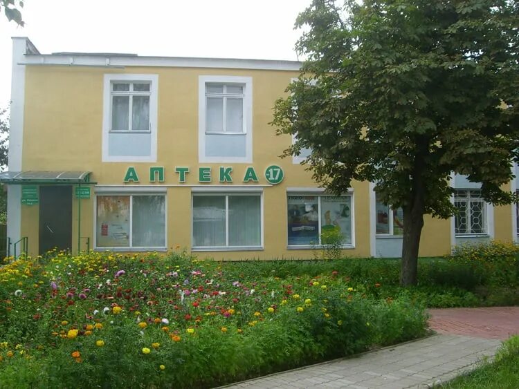 Аптека рогачев. Аптека рогачев