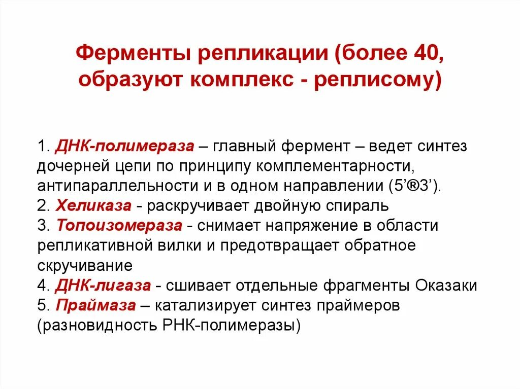 Перечислите основные ферменты репликации ДНК. Ферменты репликации ДНК И их функции. Ферменты при репликации ДНК. Какие ферменты обеспечивают репликацию ДНК.