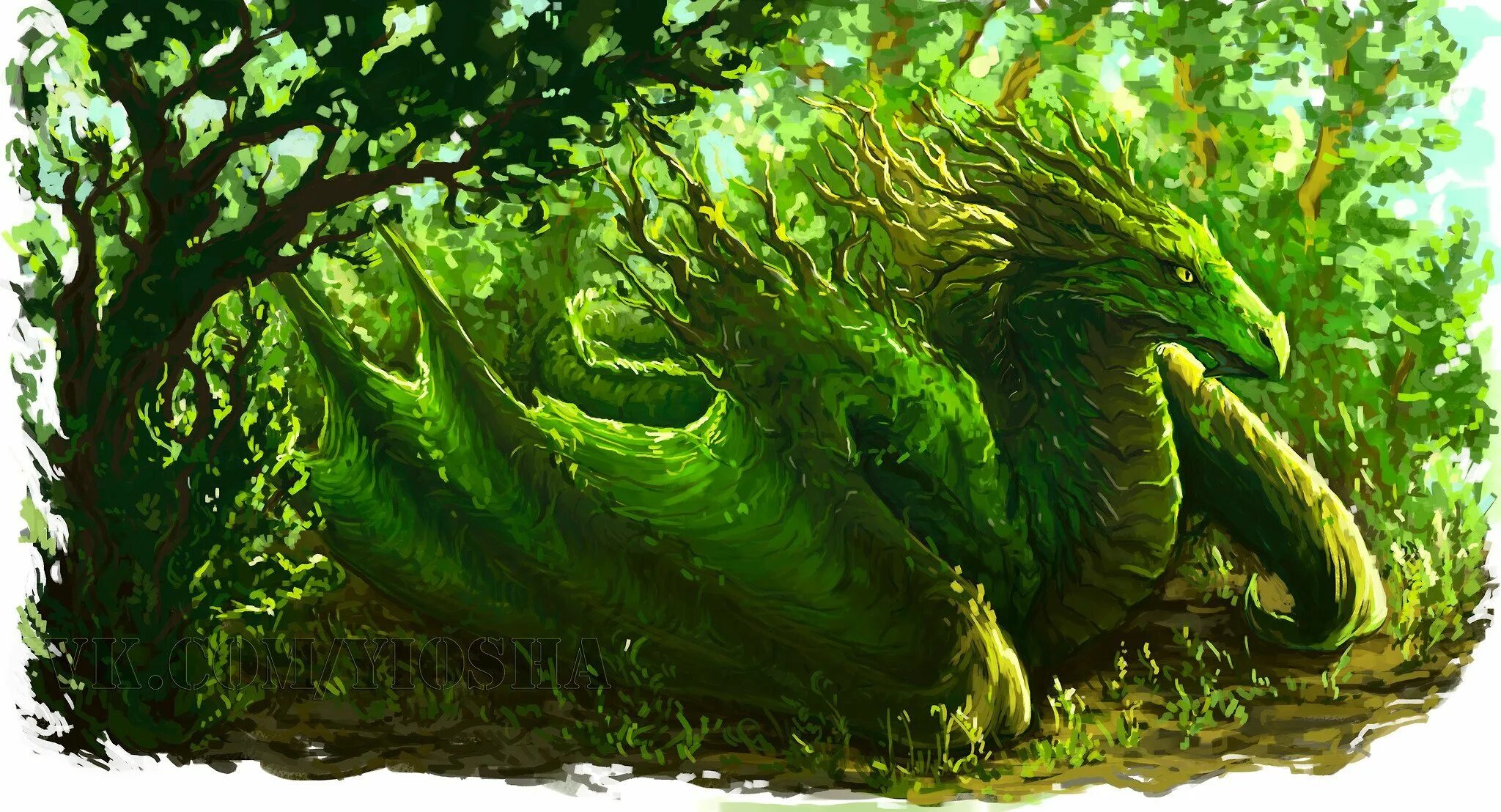 Рисунок зеленого деревянного дракона. Дилун Земляной дракон. Лесной дракон ДНД. Зеленый дракон ДНД. Молодой зеленый дракон ДНД.