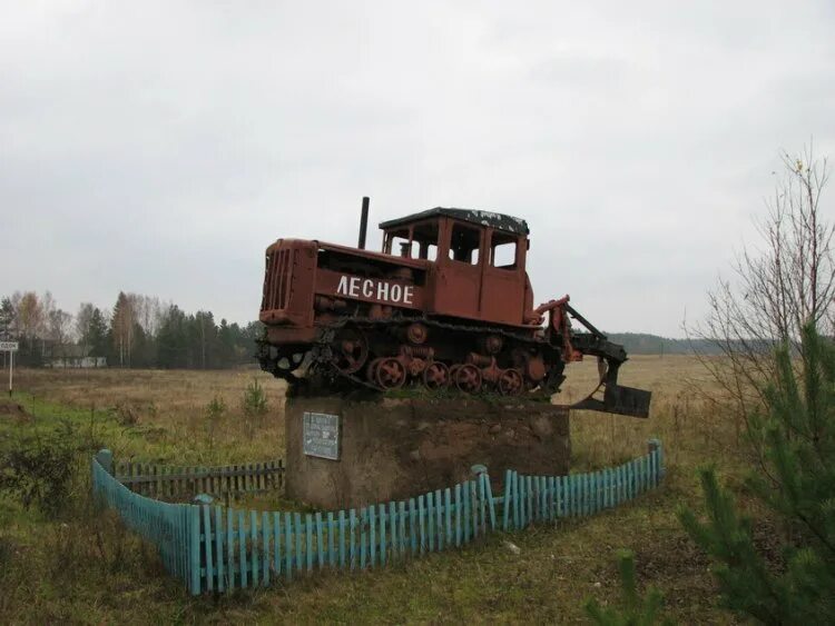 Лесное тверская область фото