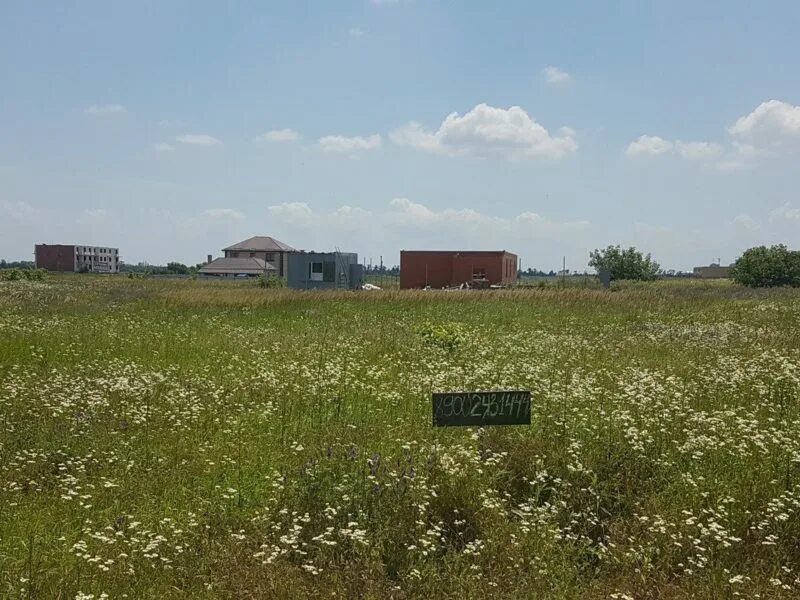 Пустырь в подмосковье. Земля под застройку. Краснодар земельный участок под ижс. Земельный участок краснодарский край. Пустырь.