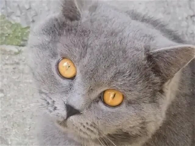 М17 смесь. Няня сериал 1993–1999. Дэниел дэвис няня. Мур 17. Мур 17.