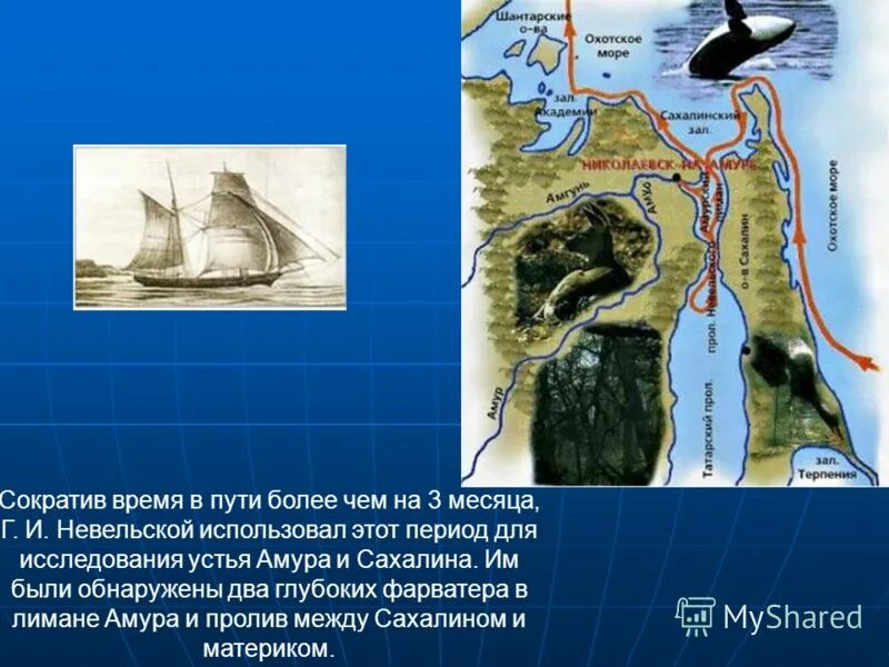 амурская экспедиция невельского карта. невельской в устье какой реки. невельского. невельской в устье какой реки. против невельскогона карте.