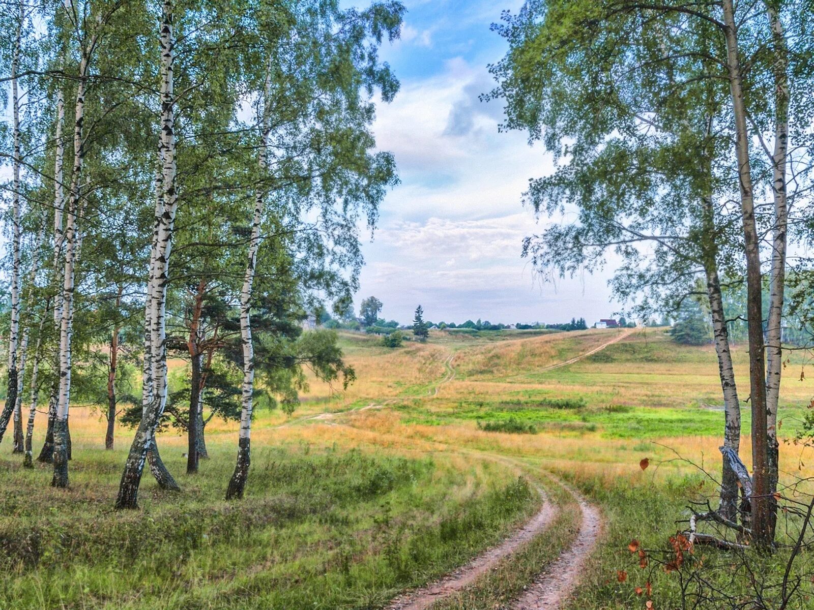 В родных местах дорога. Удмуртия Холмистая равнина. Родные просторы природа родного села. Россия просторы Березки реки. Деревня береза поле Россия.