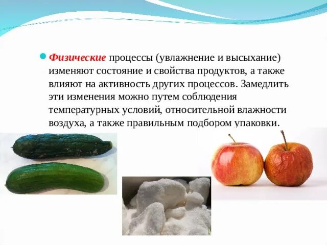 Процессы обработки изготовления изменения состояния свойств. Увлажнение и высыхание продуктов. влияние процессов обработки на свойства продуктов.