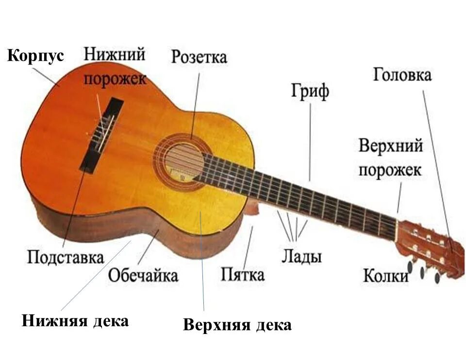 Строение гитары классической 6 струнной. Строение гитары 6-ти струнной классической. Строение гитары акустической 6 струнной струны. Строение 6 струнной гитары. Сколько на гитаре с нуля