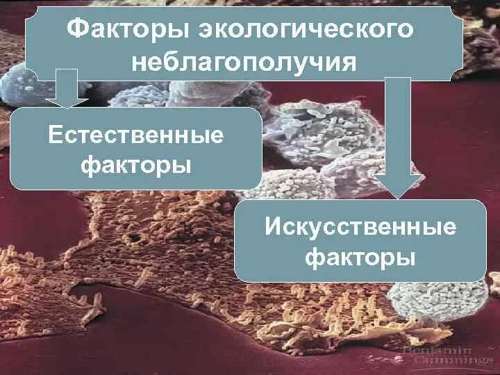 Экологичские фактор среды. Искусственные факторы среды. Факторы среды. Искусственные факторы среды. Безопасность полетов журнал.