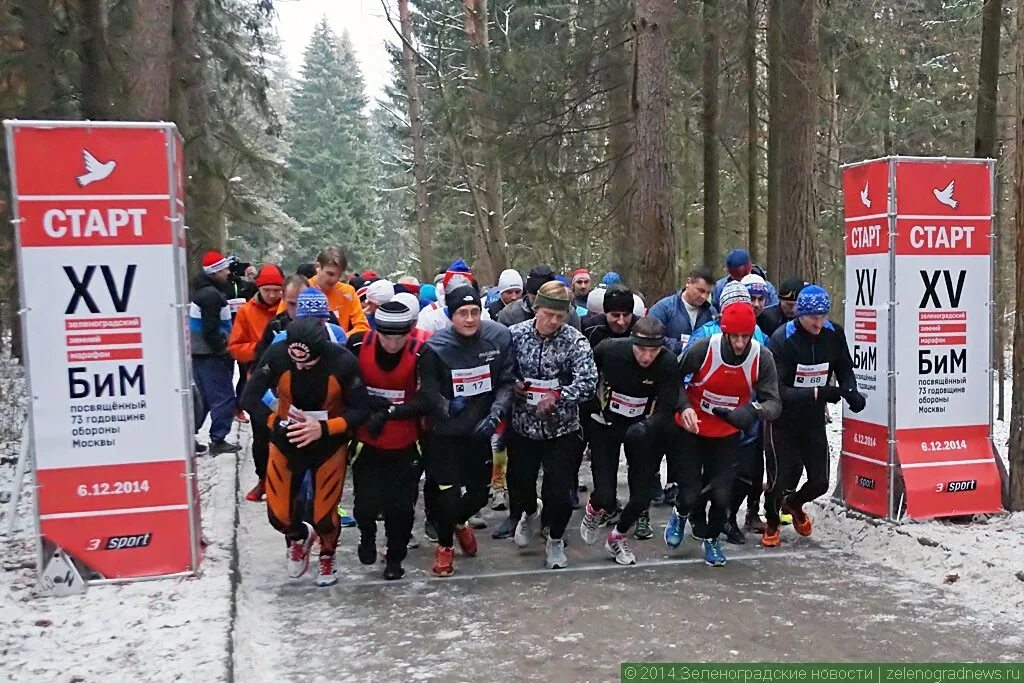 Teams 3 to 3 sport. Зеленоградский марафон. Зеленоградский марафон Спутник. Пять верст забег Зеленоград фото.