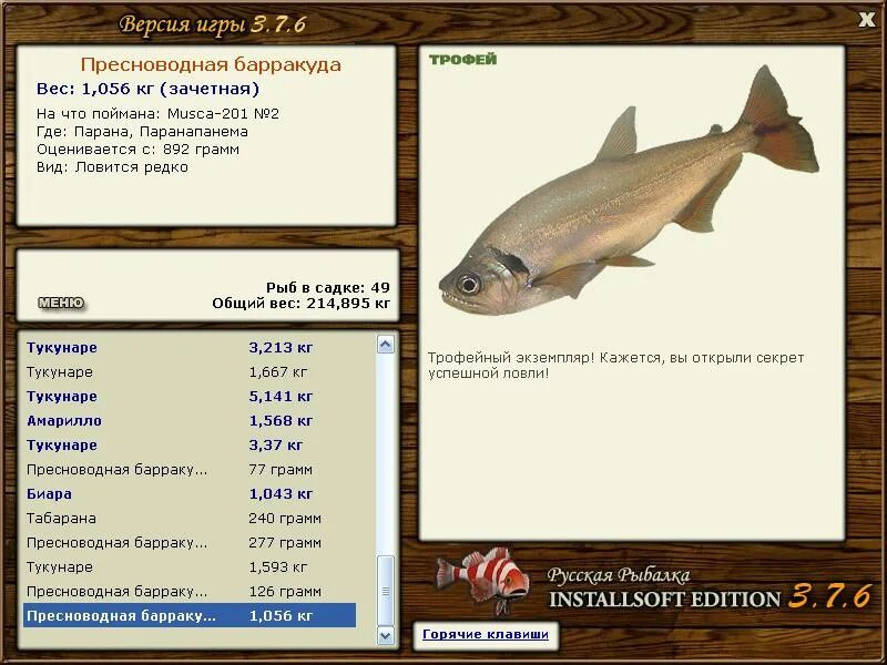 ловля барракуды. барракуда реальная рыбалка. реальная рыбалка барракуда. норвегия где ловить барракуду европейскую. сообщение про рыбу барракуда.