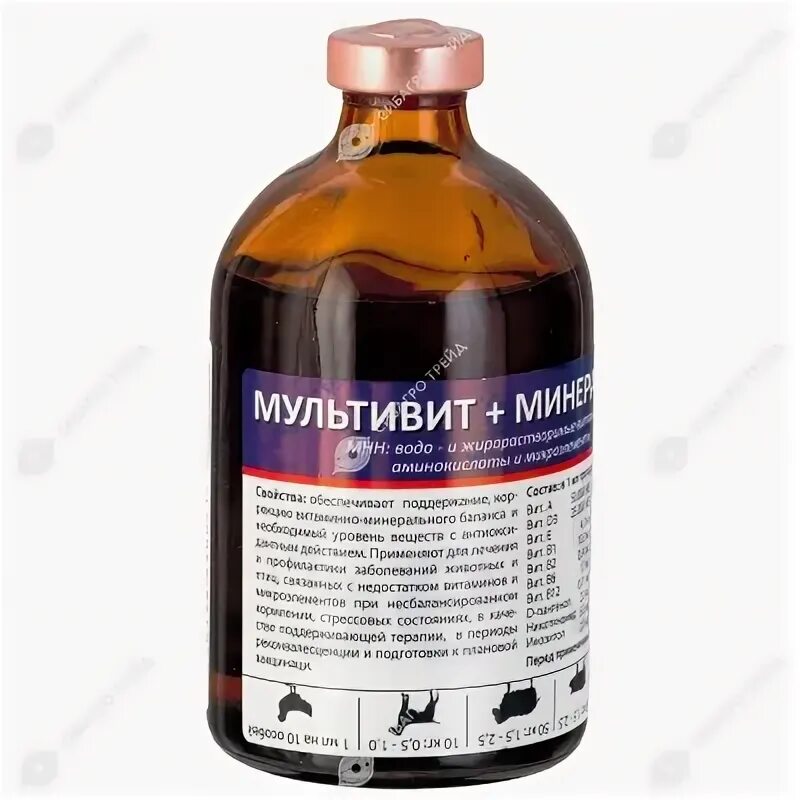 Мультивит для животных инструкция. Мультивит+минералы 100 мл. мультивит минералы для животных. мультивит 100 мл. мультивит+минералы асконт плюс.