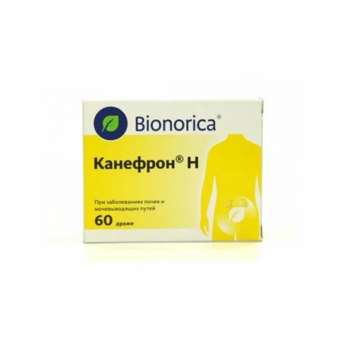 Где канефрон. Канефрон н табл. по №60. при заболевании почек лекарства канефрон. препарат при заболевании почек канефрон. канефрон н n60 табл по.