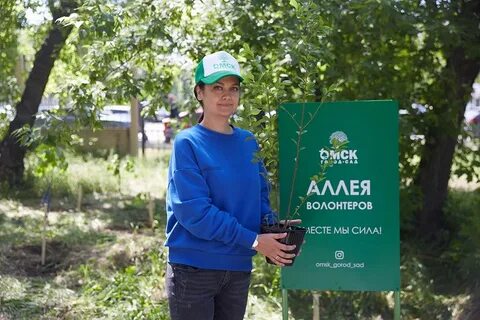 Проект городские волонтеры
