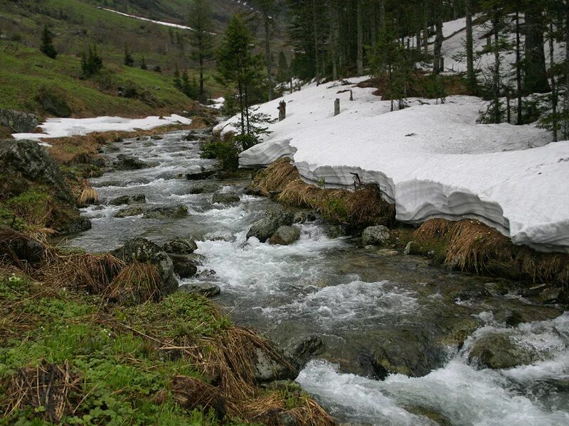 Мамай стоит у реки. Илья глазунов поле куликово. Хан мамай куликовская битва. Мамай байкал. Река мамай байкал зима.