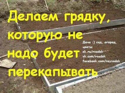 Грядки по сторонам света
