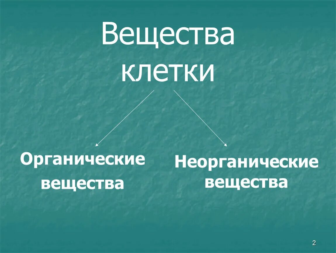 Первые клетки органические. Органические и неорганические вещества клетки. Вещества клетки делятся на неорганические и органические. Органические вещества клетки. Органические вещества клетки презентация.