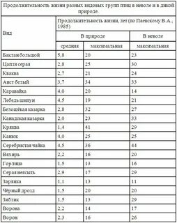 Сколько лет прожил видов