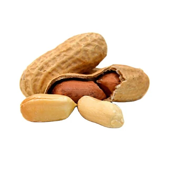 Арахис тн вэд. Арахис peanuts. арахис культурный(земляной орех) престиж ц. арахис на белом фоне. peanut png.