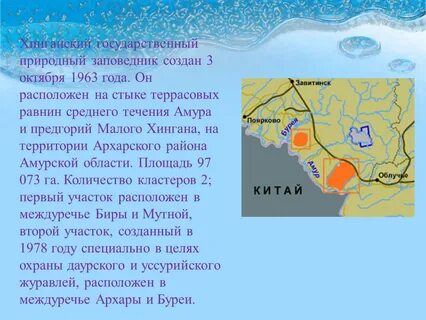 Хинганском заповеднике