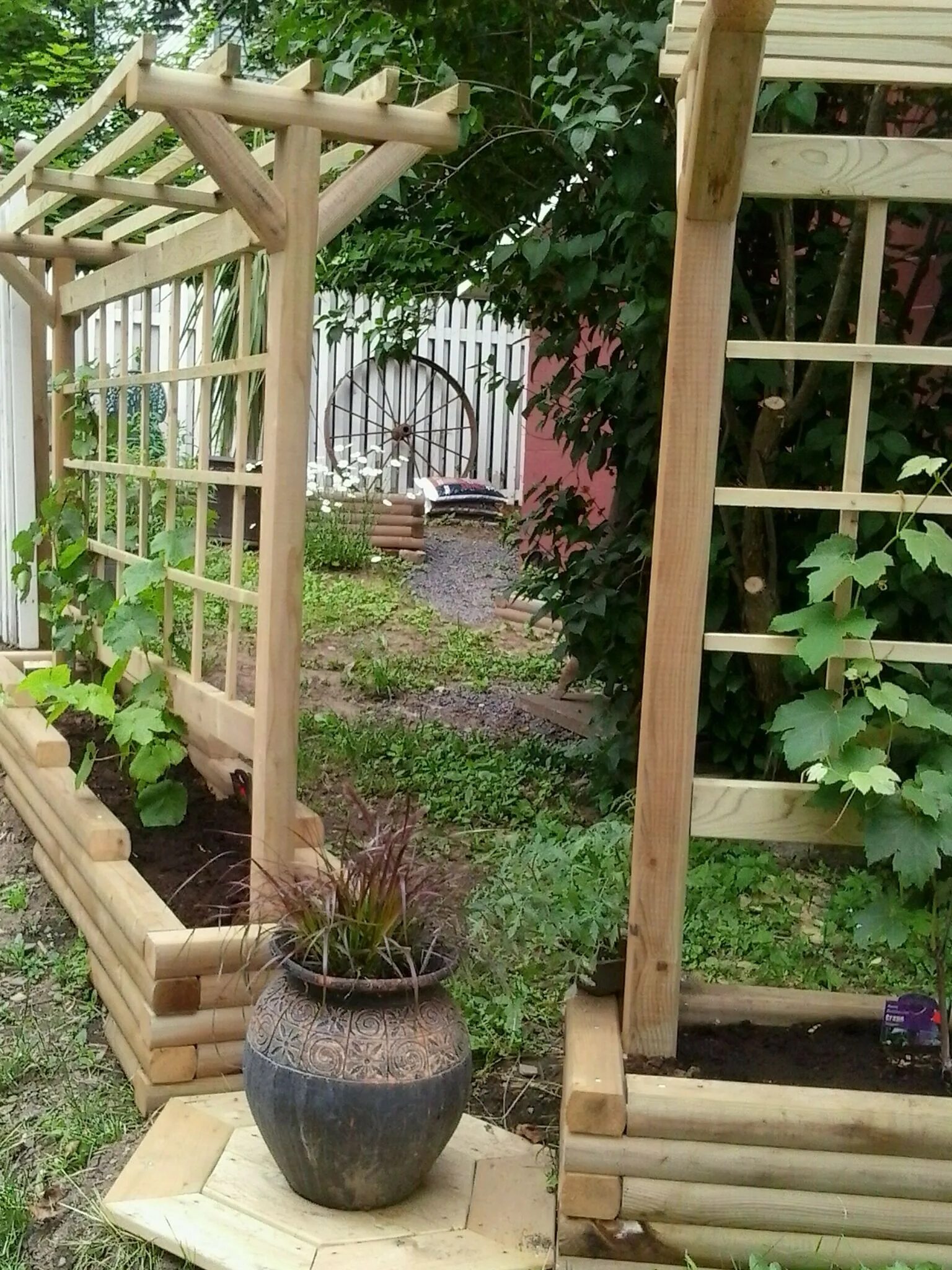 Сделать шпалеру своими руками пошаговая. Grape Trellis. Шпалера огуречная. Шпалера в саду. Шпалера на даче.