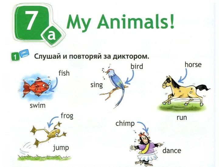 Спотлайт 2 my animals. Spotlight 2 класс животные. My animals Spotlight 2 класс. Спотлайт 2 животные