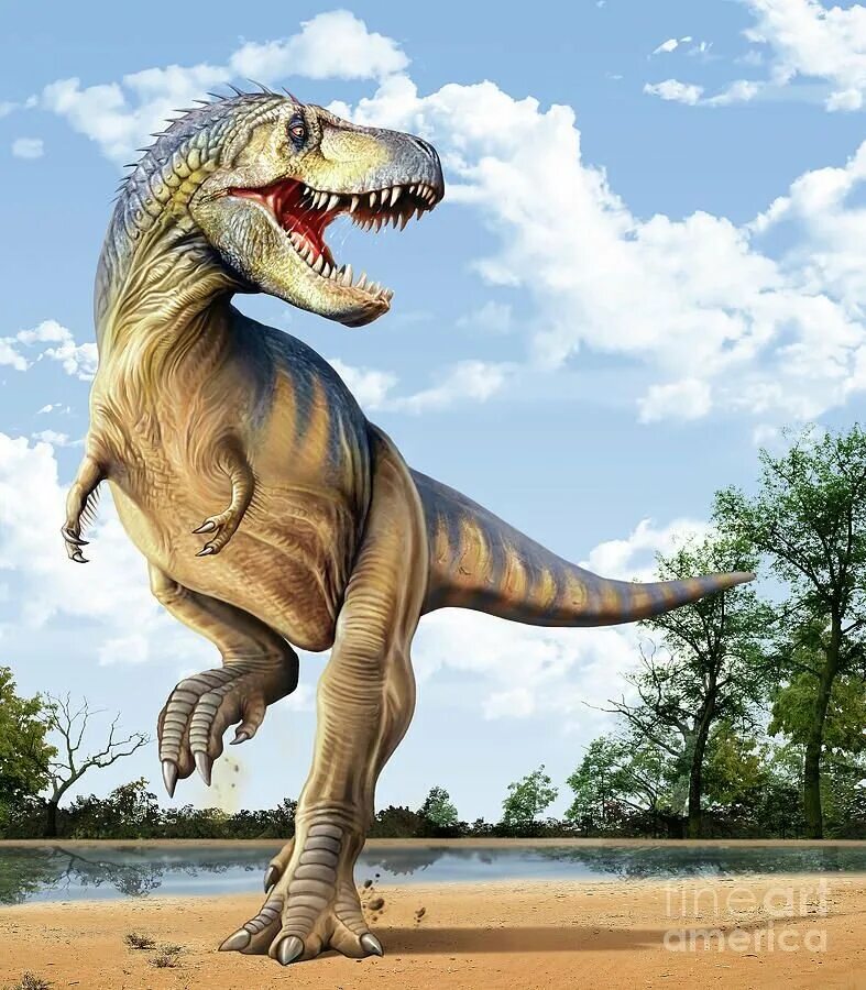 Тираннозавр рекс. Тирекс динозавр. Динозавр "Тиранозавр рекс". Королевский Тираннозавр.