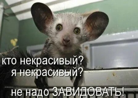 Я веселый г и не надо мне