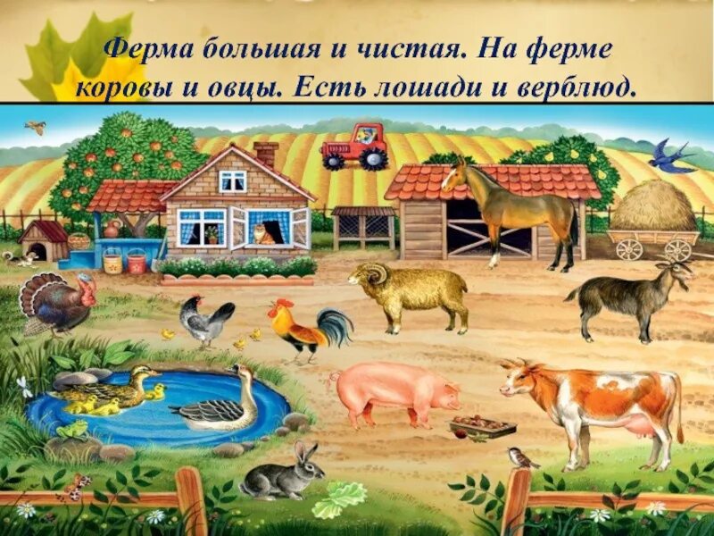 Домашние животные на скотном дворе. Животные на ферме. Презентация к дедушке на ферму. Фермер иллюстрация. Ферма презентация для дошкольников.
