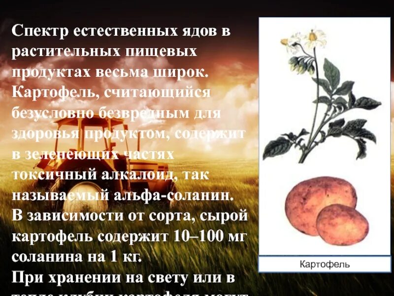 Растительный яд содержащий