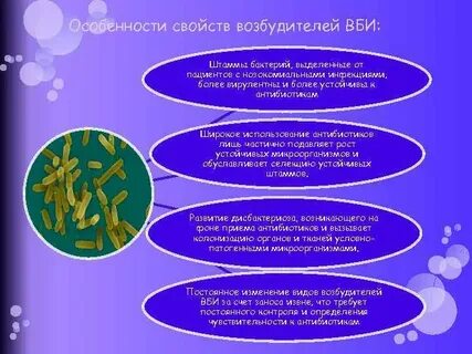 Госпитальный штамм возбудитель