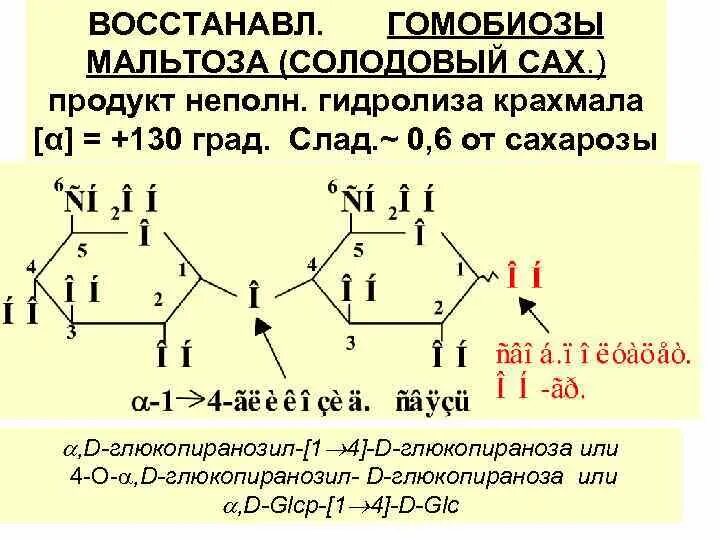 Продукт гидролиза мальтозы. Продукт гидролиза мальтозы. Продукт гидролиза мальтозы. Продукт гидролиза мальтозы. Схема ферментативного гидролиза крахмала.