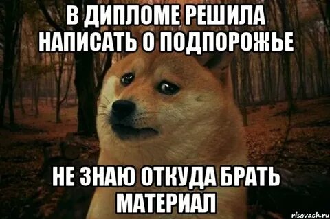 Не знаю где взять
