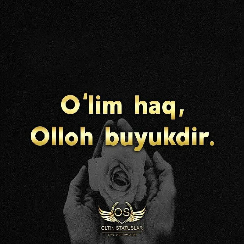 O lim. O lim. O lim. O'lim rasmlar. O lim.